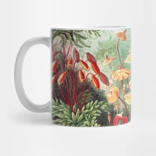 Fern -  Ernst Haeckel. Mug